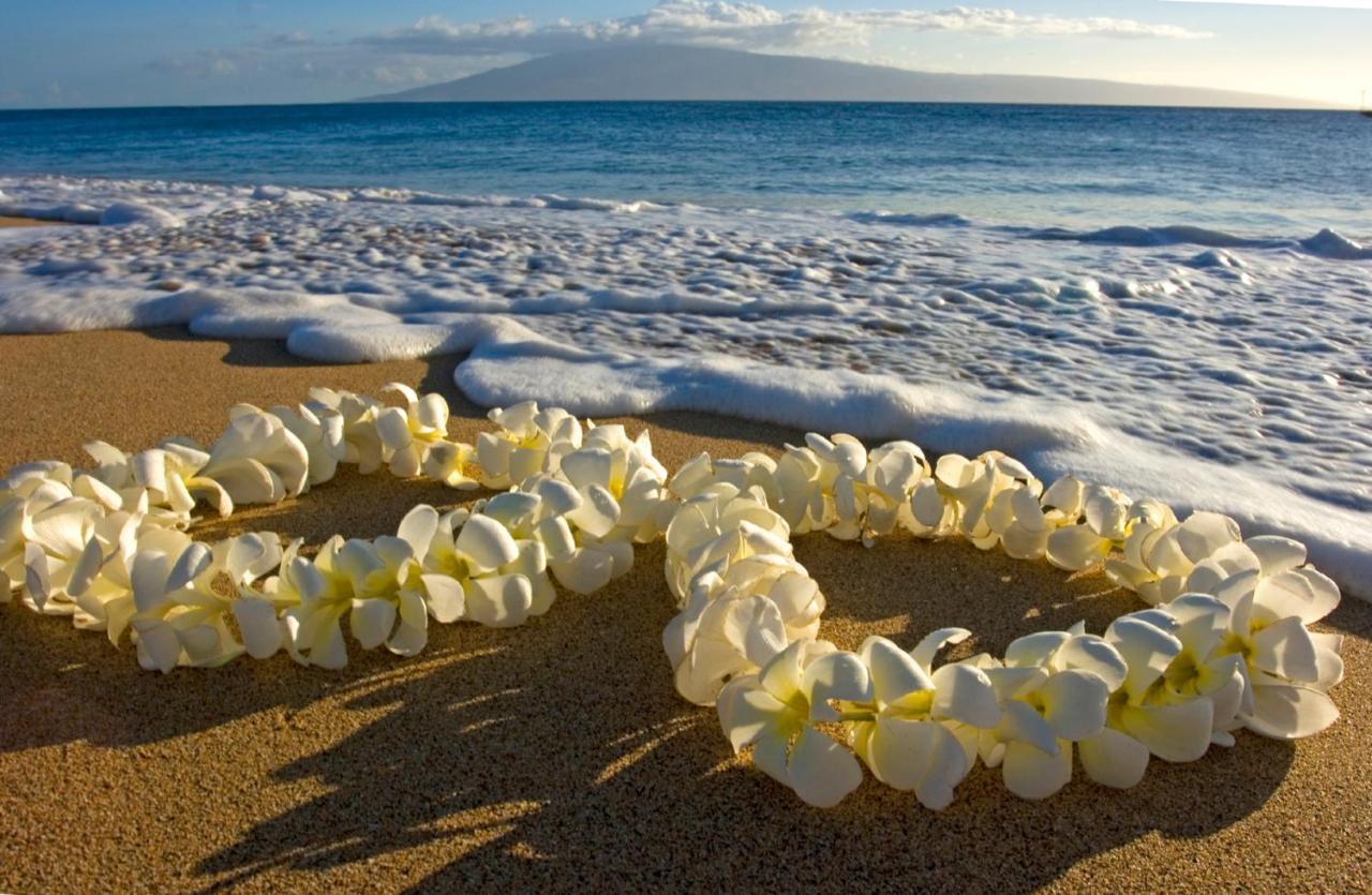 Steps To Waikiki Beach! Newly Renovated With 75" Tv Honolulu Esterno foto